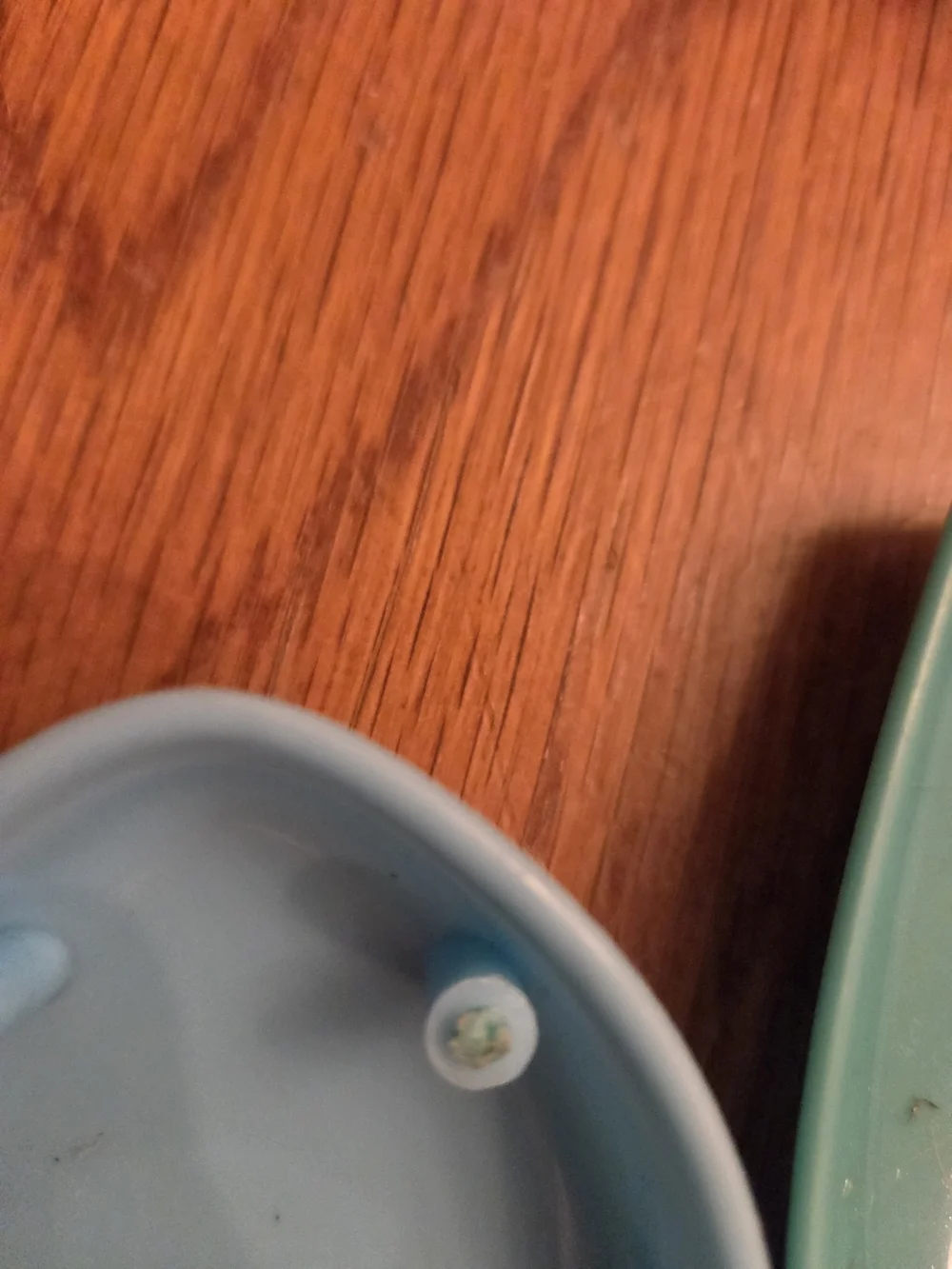 Kids Light-Up Speaker & Led Light Bright